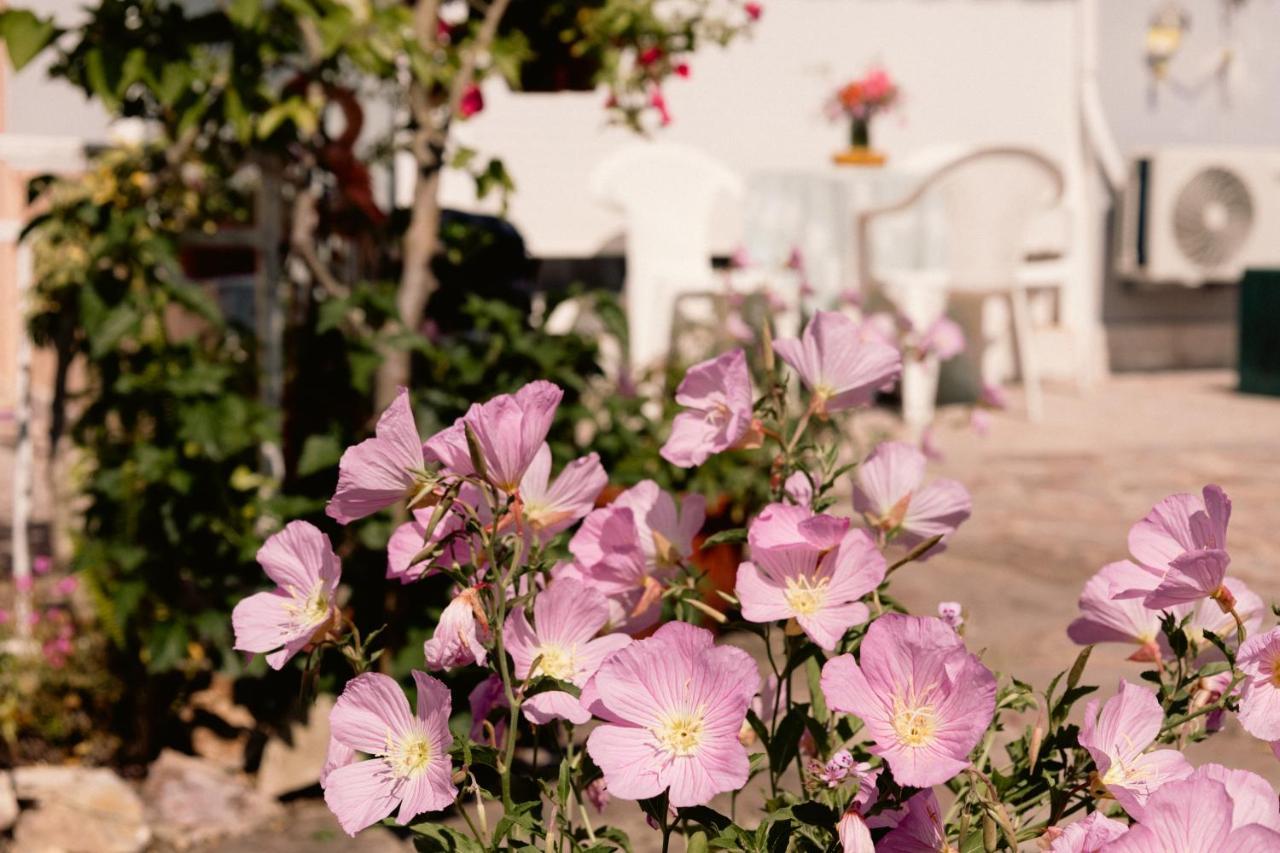 Irene'S Home Igoumenitsa Bagian luar foto