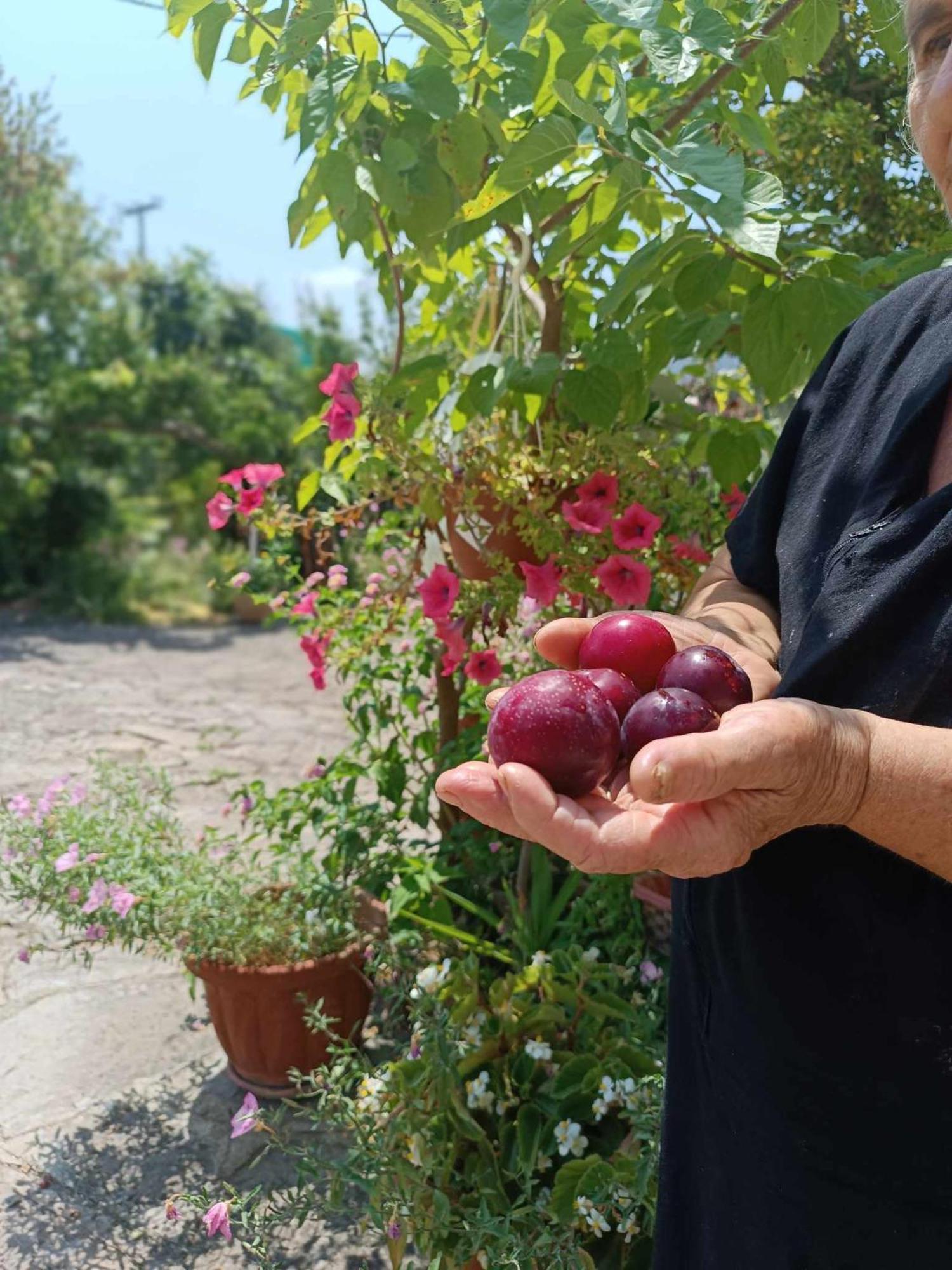Irene'S Home Igoumenitsa Bagian luar foto