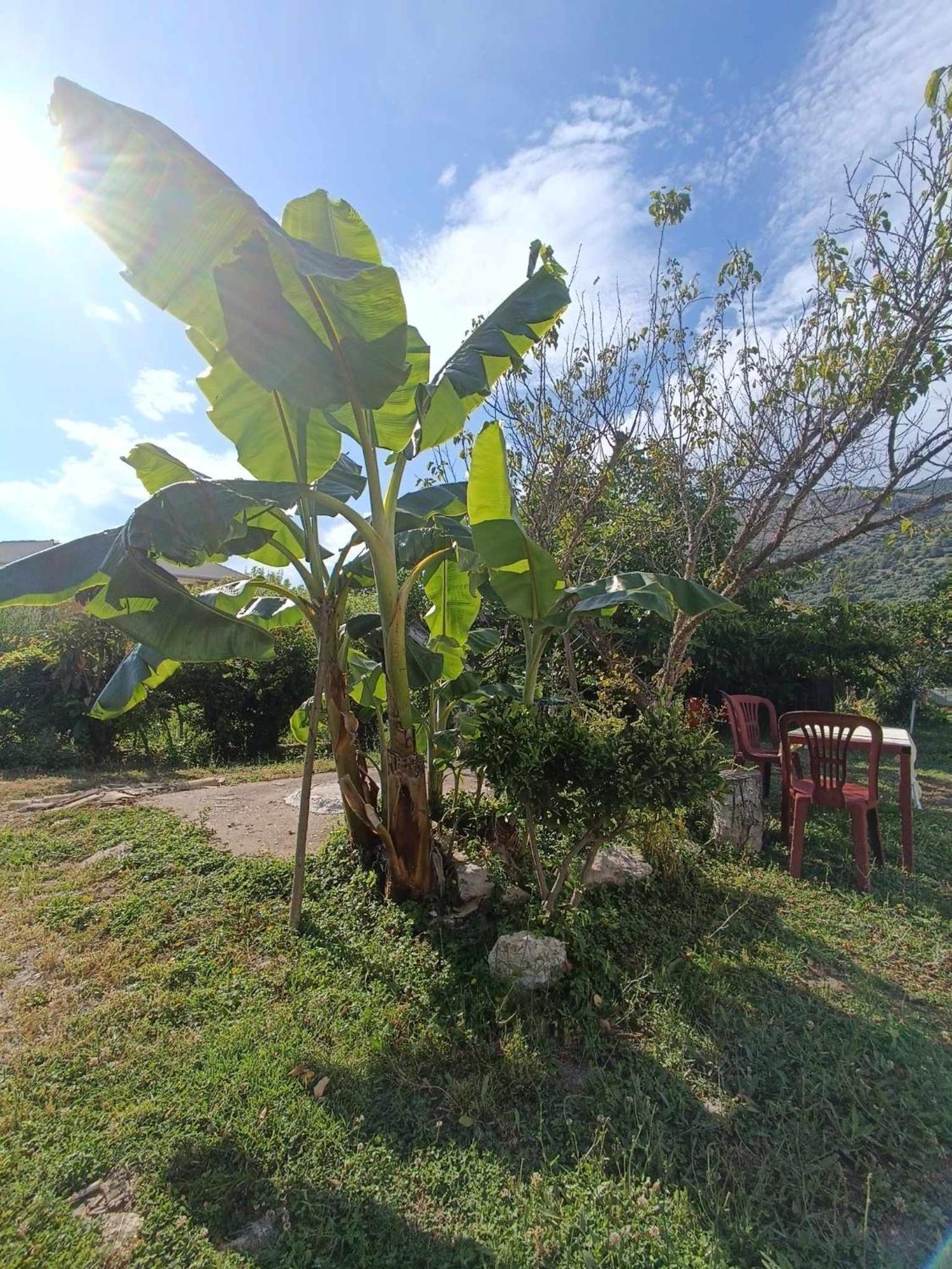 Irene'S Home Igoumenitsa Bagian luar foto