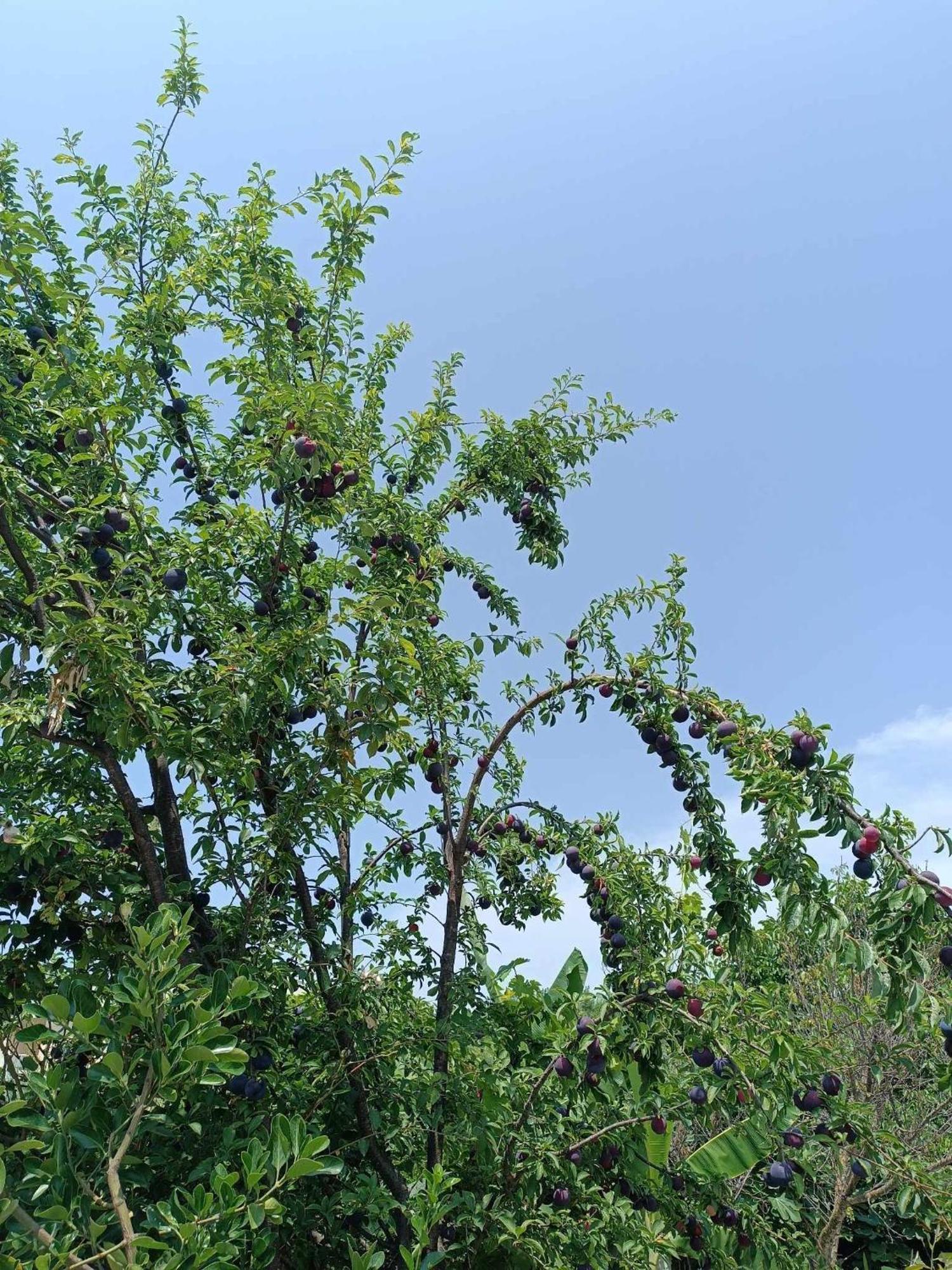 Irene'S Home Igoumenitsa Bagian luar foto